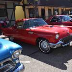 DSC_0118_00075 (October 07, 2023)